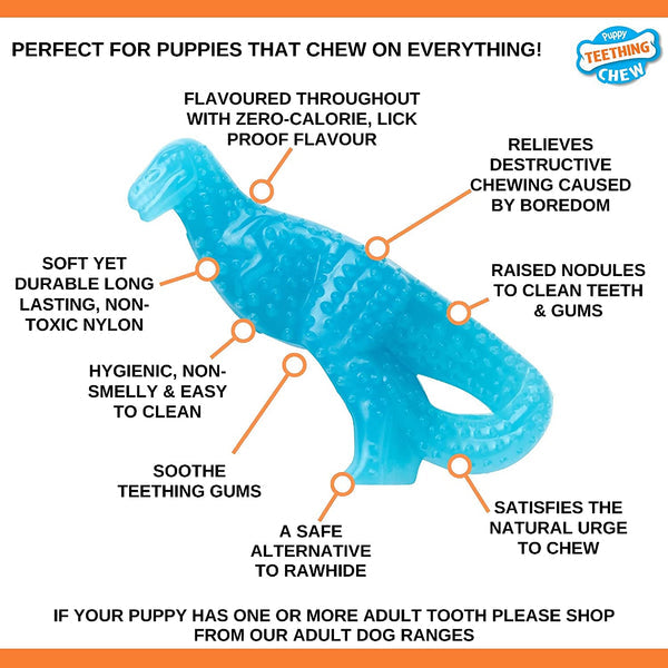 nylabone teething puppy dental dino chew toy - s