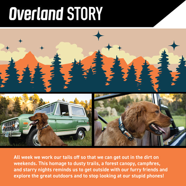 OverLand Dog Leash