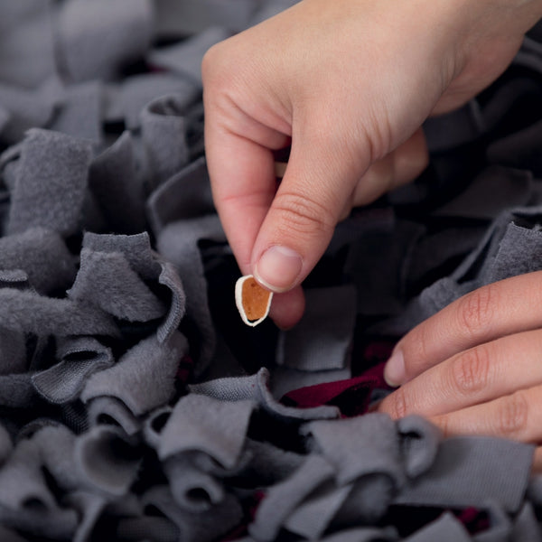 activity snuffle mat strategy game