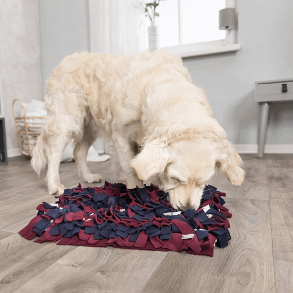 activity snuffle mat strategy game