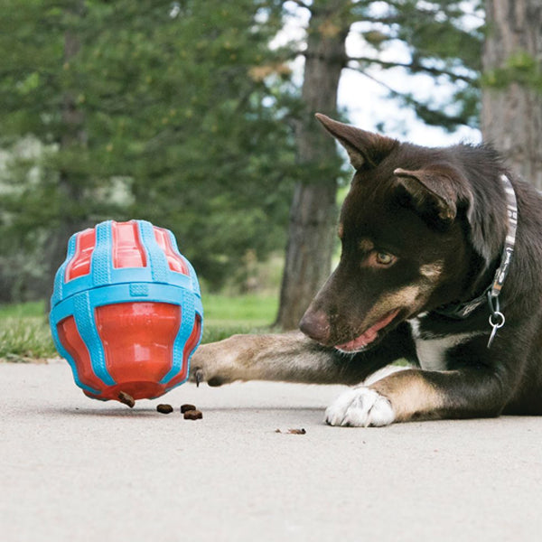 kong treat spinner large