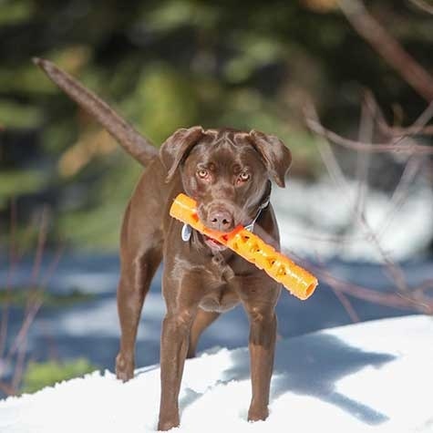 chuckit! dog toy - air fetch stick