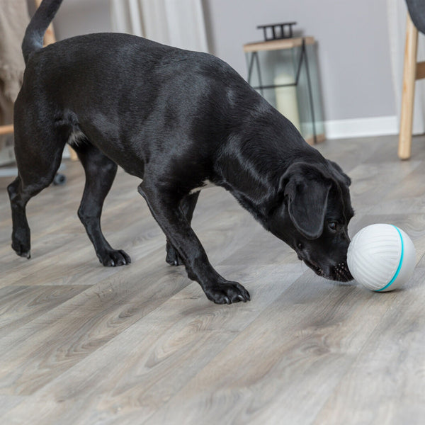 trixie snack ball grey