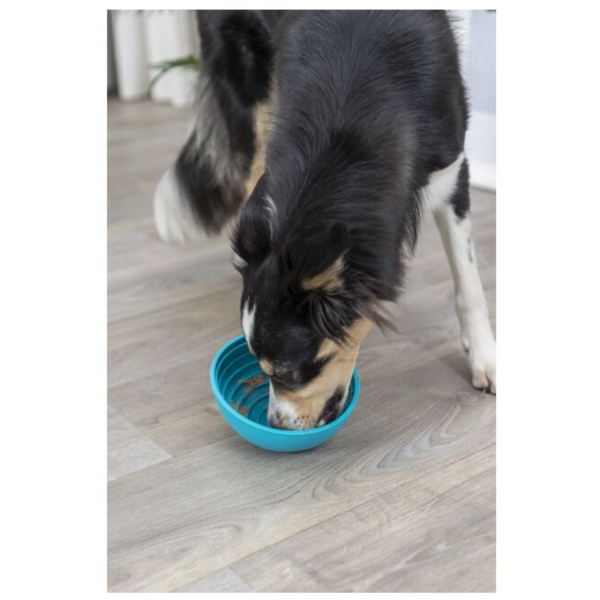 lick n snack bowl