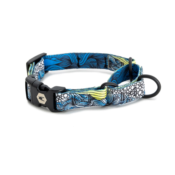 DawnPatrol MARTINGALE DOG COLLAR