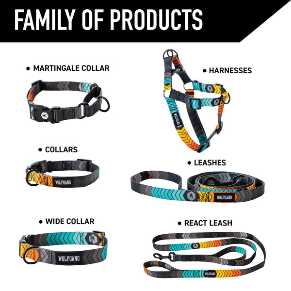 ChevTech Dog Leash